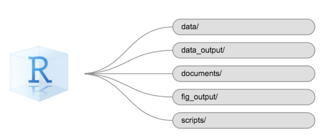 Example of a working directory structure